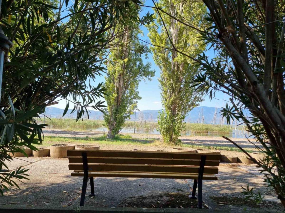 Fuk-Tak'S Bungalow Dojran Exteriér fotografie