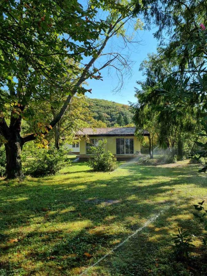 Fuk-Tak'S Bungalow Dojran Exteriér fotografie