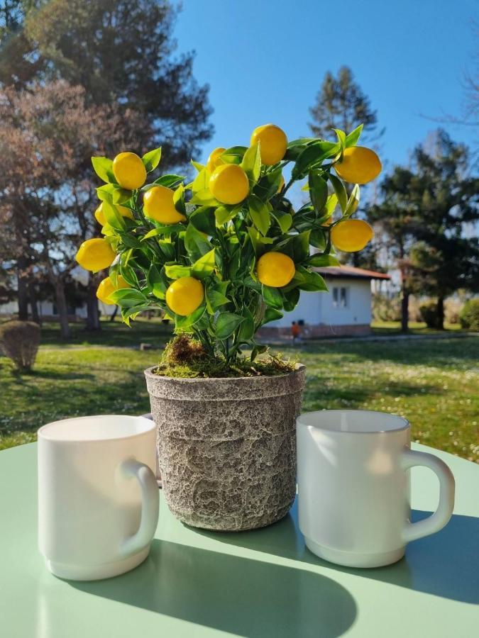 Fuk-Tak'S Bungalow Dojran Exteriér fotografie